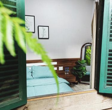 Bơ Xanh Homestay