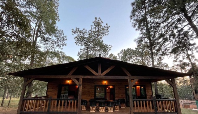 BEAUTIFUL NEW CABIN