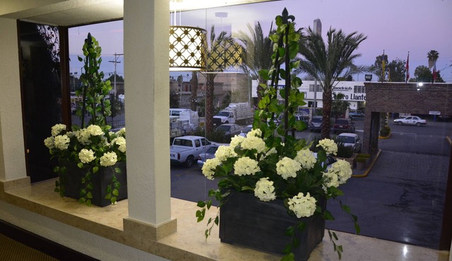 Best Western Posada Del Rio