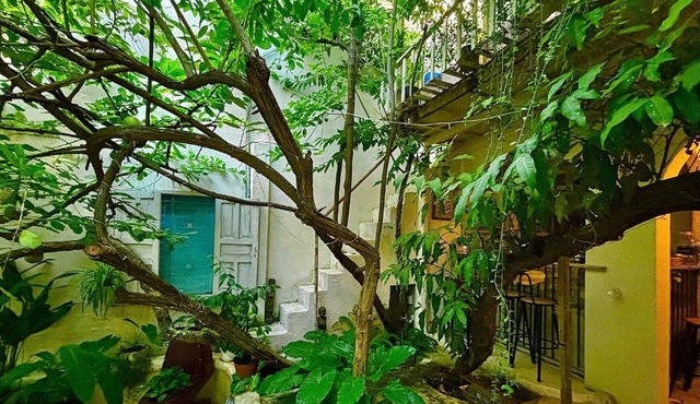 Brother House