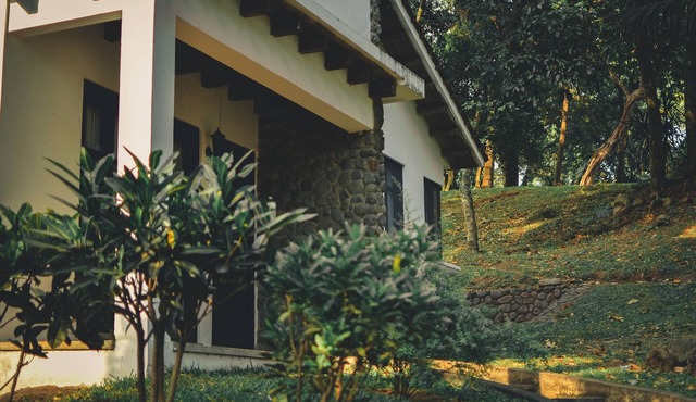 Bungalow With Pool And Free Parking In Nature