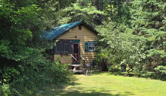 Butternut Adirondack Cabin. in Johnsburg