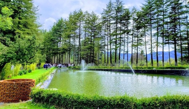 CABIN FOR 4 PEOPLE #1 @JARDIN RINCON DE LAS ESTRELLAS