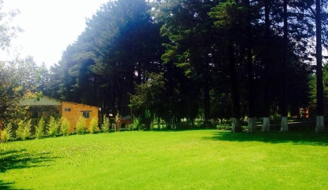 CABIN FOR 4 PEOPLE #8 @JARDIN RINCON DE LAS ESTRELLAS