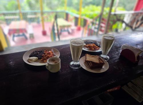 CARIBbEAN Paradise Hotel
