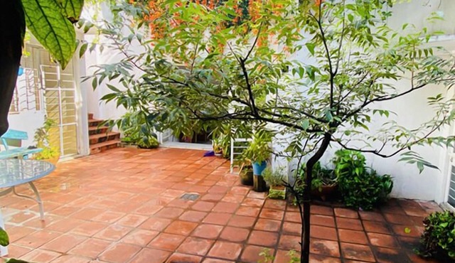 Casa Canario La Americana