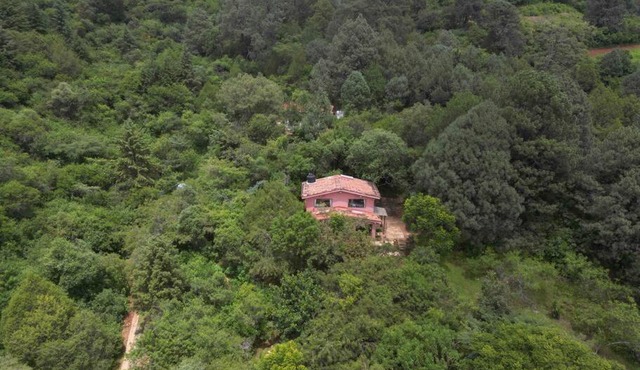 “Casa de campo: Los Abuelos”