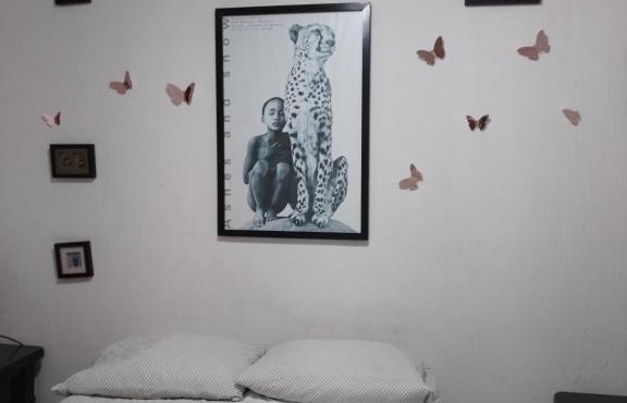 Casa Mariposas