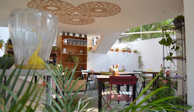 Casa Matia