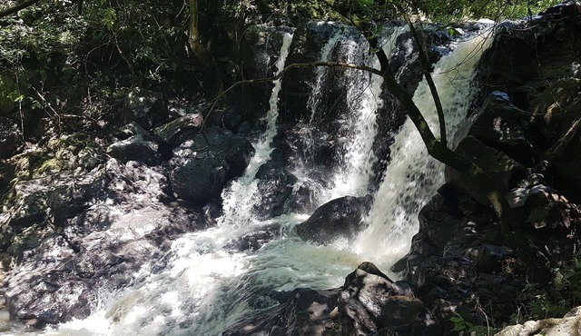 Casa para hasta 11 personas con amplio jardin en Tepoztlan