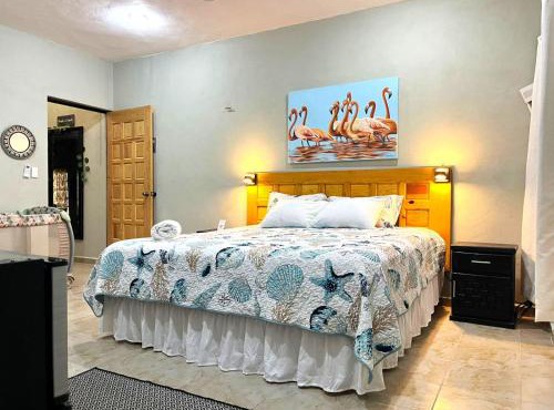 Casa Rio Lagartos