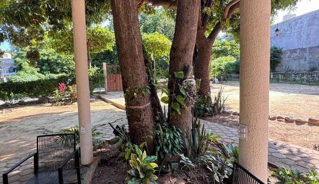 Casa Triz