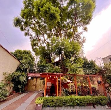 Casita del Árbol