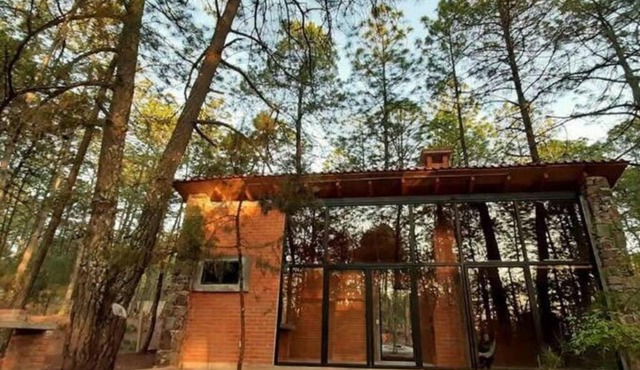 Cem-Anáhuac Cabin in the woods
