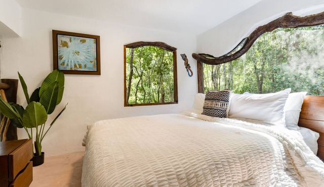 Cenotes 3BR Familiares y Amigos Wifi