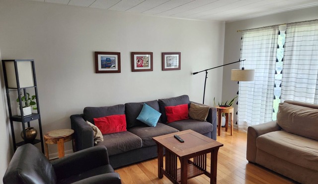 Charming 2-bedroom house with WiFi and AC in fabulous Austin in Austin