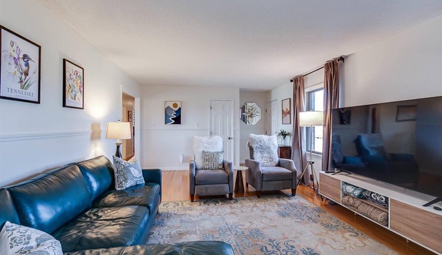 Charming level 3-BR,2Ba house in Johnson City with WiFi, AC, views, pet friendly in Johnson City