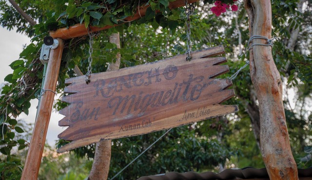 Cozumel Jungle Cabin