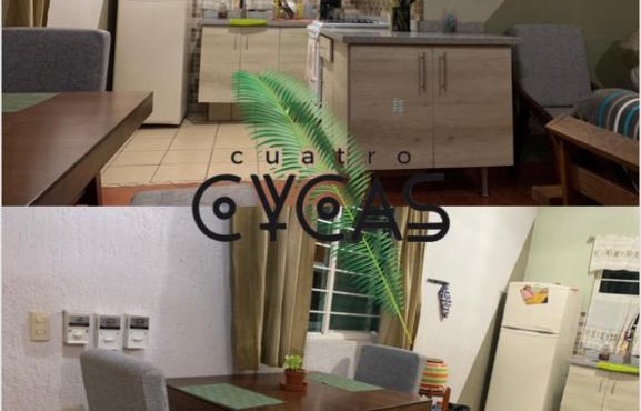 Cuatro Cycas
