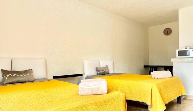 Cute studio in Hotel Zone,easy move location Gre301b