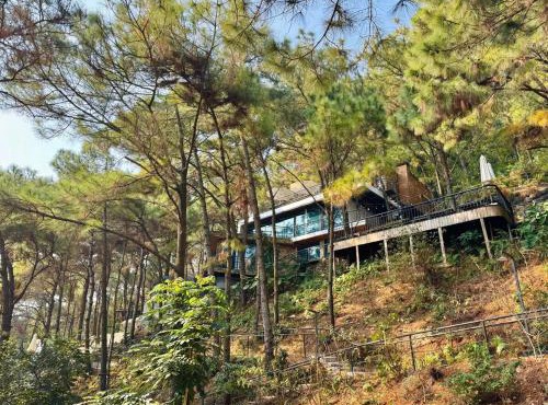 DE'BAY VILLA - Stone house in the forest