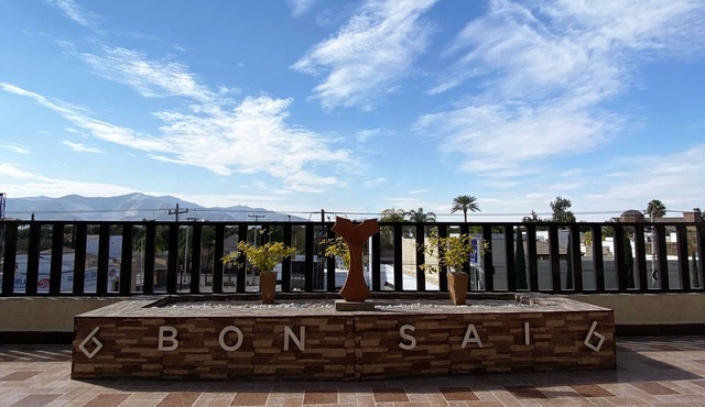 Departamentos Bonsai