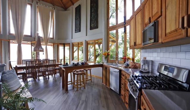Dramatic new home, close to center, STUNNING views! Now with Starlink Internet!