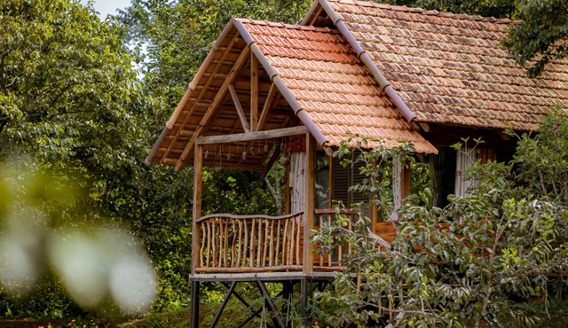 Du An Garden Retreat Forest