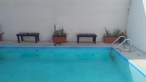 El nogalito