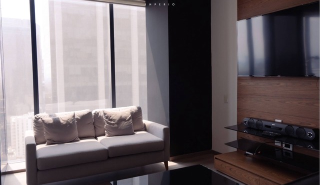 Exclusive downtown appartment