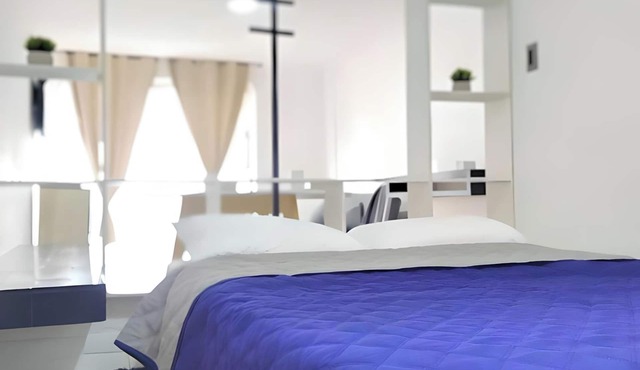 Fabulous Suite in Zona Rosa near American Embassy