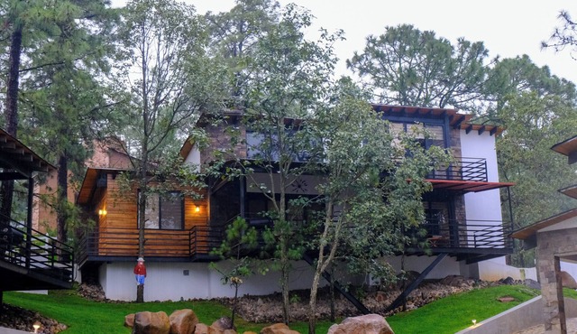 Fantastic cabin among trees "Chestnut".