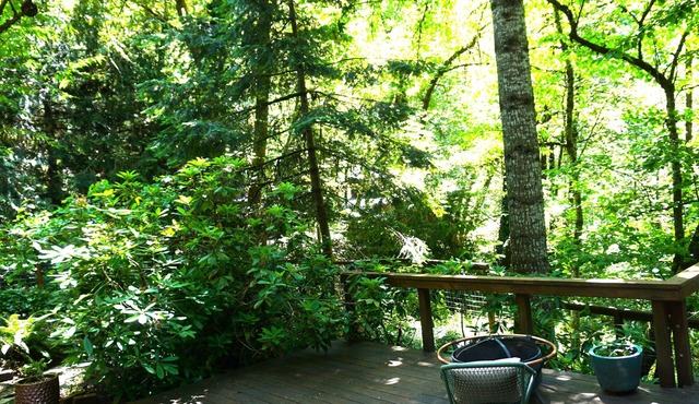 Forest Retreat in Eugene – Stylish Home w/Hot Tub, Chef's Kitchen & Trails in Eugene
