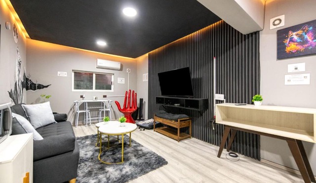 Fully equipped retro loft in Polanco