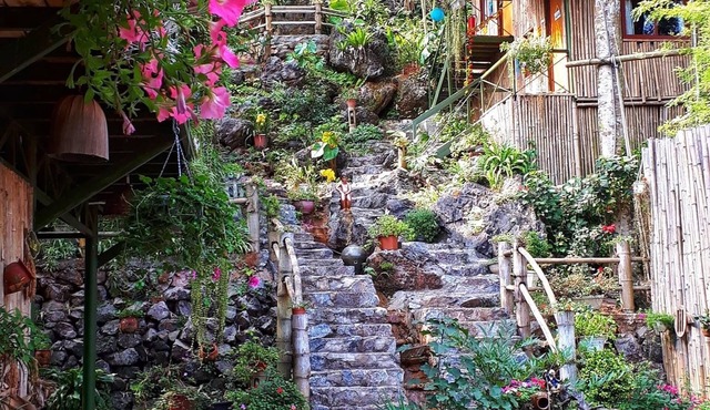 Green Hill Hostel & Homestay