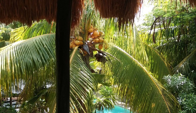 Green Tulum