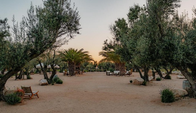 Hábimo - Valle de Guadalupe in Valle de Guadalupe