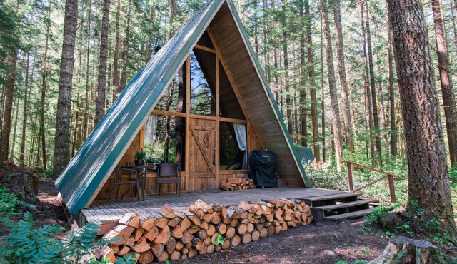 Hidden Gem! Modern A-frame in wooded wonderland next to the Nisqually river in Ashford