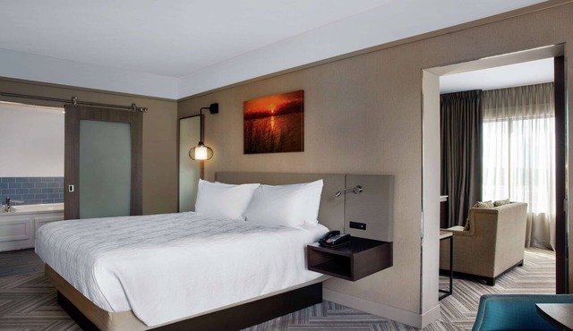 Hilton Garden Inn Mobile Downtown in Mobile