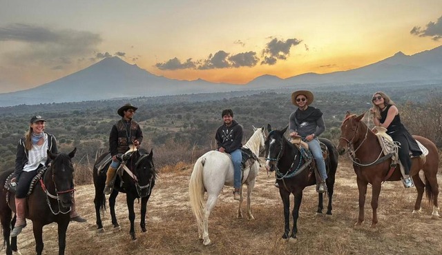 Horse & Bed Hostel
