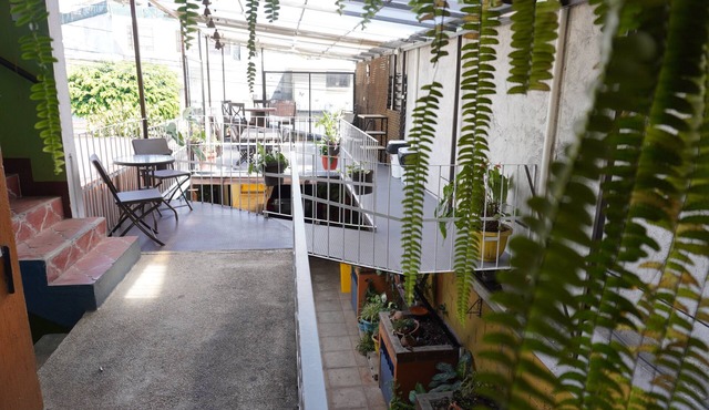 Hostal Guatefriend's - Hostel