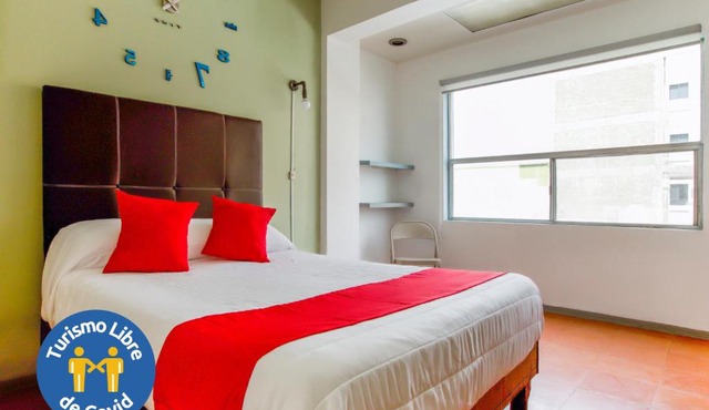 Hotel Allende 104
