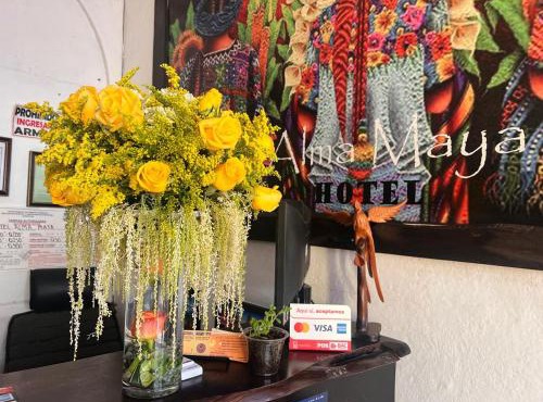 Hotel Alma Maya
