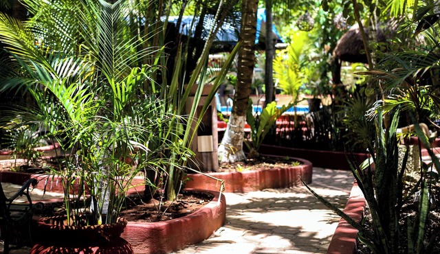 HOTEL COCOS CABAÑAS - QUEEN BOUTIQUE AMARILLA