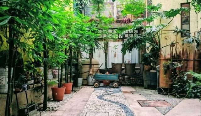 Hotel Coyoacan