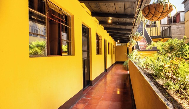 Hotel Itzel