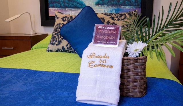 Hotel Posada del Carmen