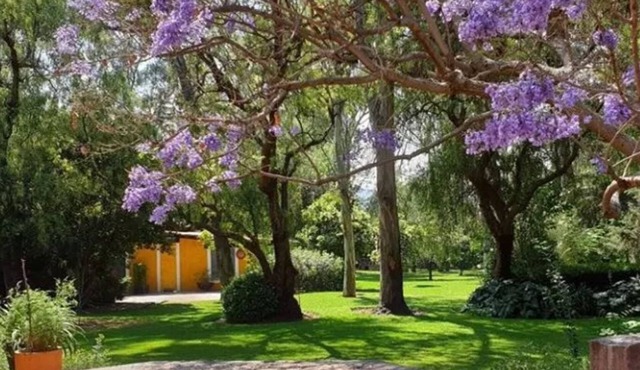 Hotel Rancho San Juan Teotihuacan