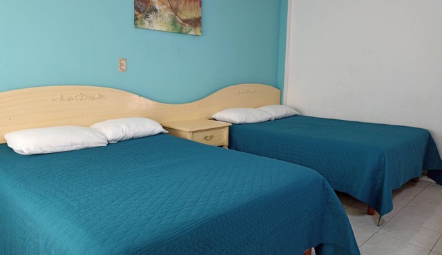 Hotel San Carlos