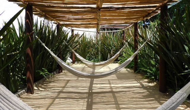 Hotel & Spa Luna Canela Boutique